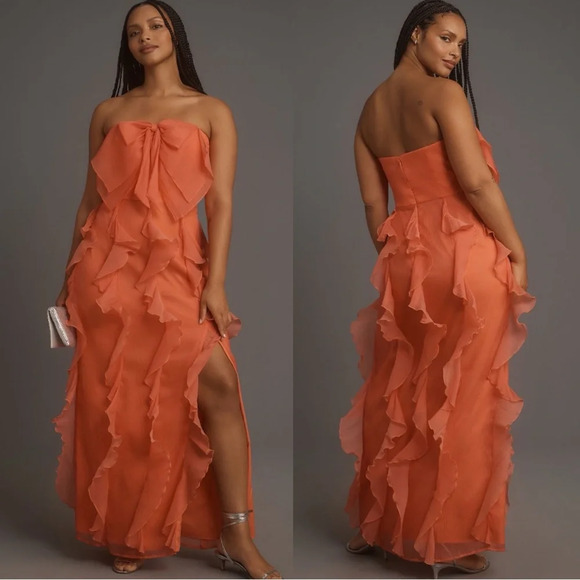 Anthropologie Dresses & Skirts - Anthropologie Hutch Strapless Tiered Tulle Maxi Dress